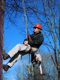 climbing_dwight_bayne